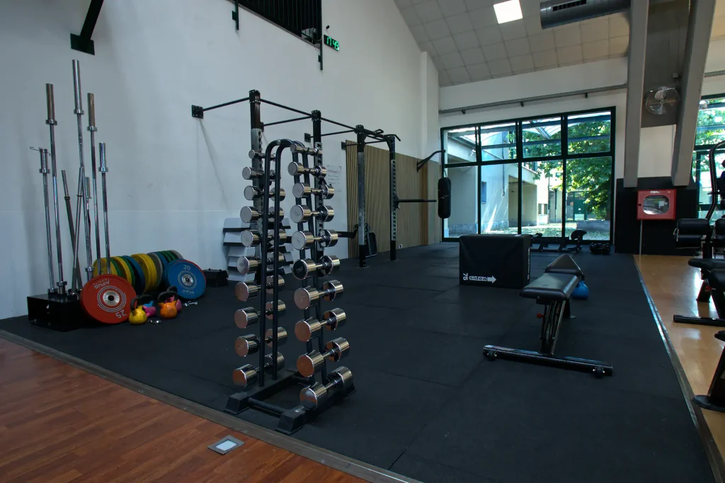 Zona functional training di ViBE Fitness Barlassina con rastrelliera per manubri, dischi bumper, bilancieri, rig da calisthenics e pavimento gommato nero.